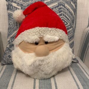 Santa Claus Plush face